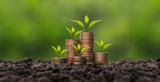 Plant growing on pile of coins representing affordable price and financial growth